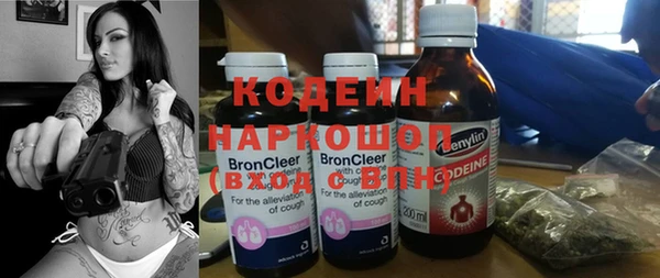 ПСИЛОЦИБИНОВЫЕ ГРИБЫ Арсеньев