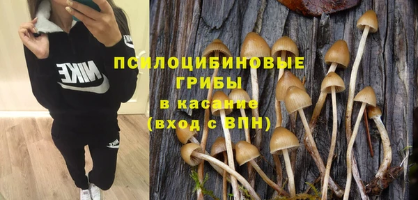 крисы Армянск