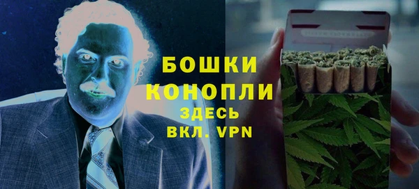 крисы Армянск