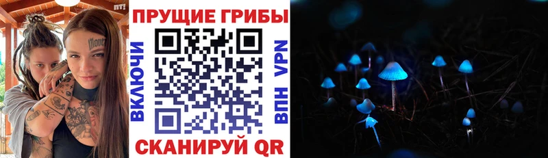 продажа наркотиков  Горячий Ключ  Псилоцибиновые грибы прущие грибы 